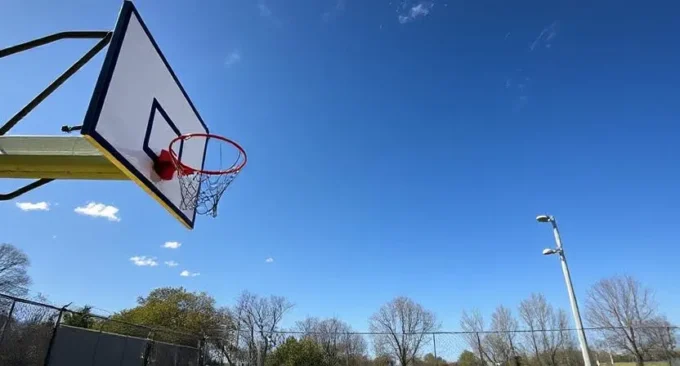 zuyomernon system basketball