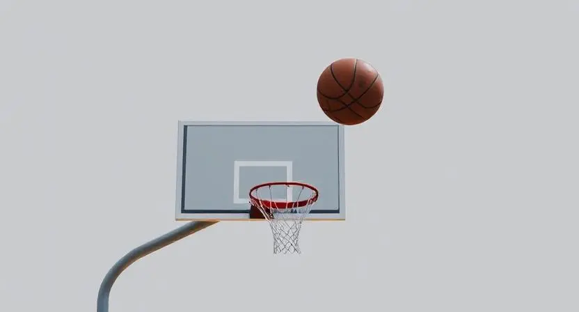 zuyomernon system basketball